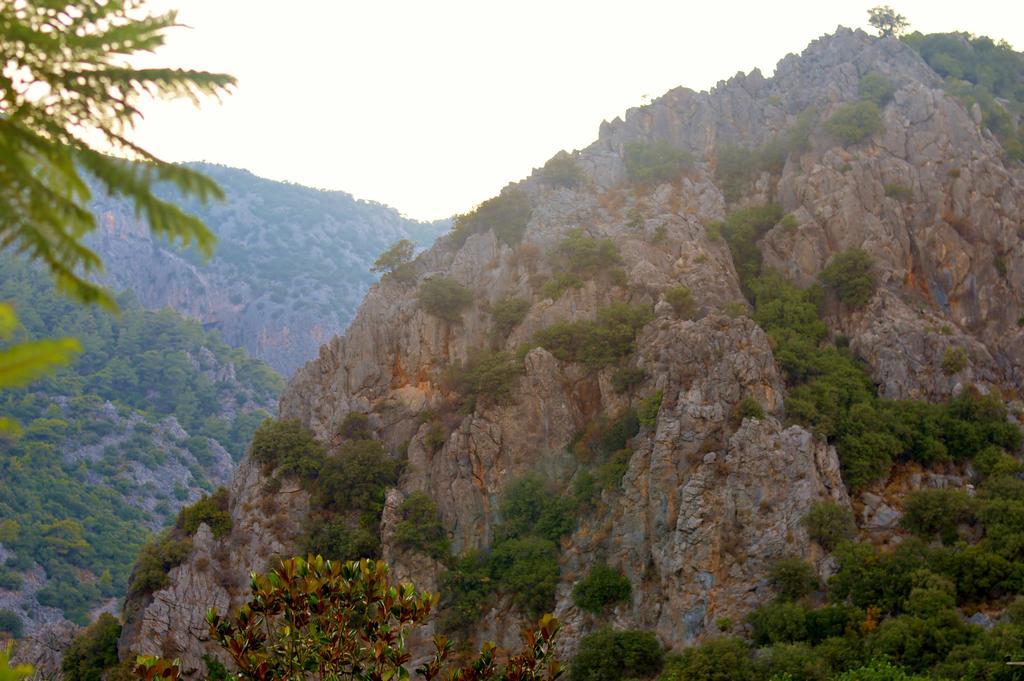 Safir Pansiyon Çıralı Esterno foto