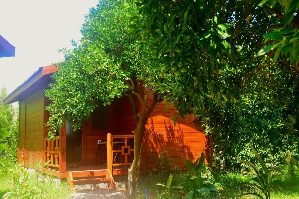 Safir Pansiyon Çıralı Esterno foto